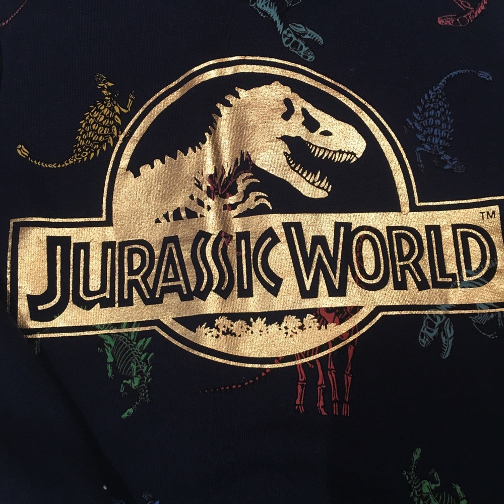 Jurassic World Sweater